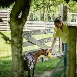 Campingplatz Hoeve De Binnenplaets - - Glamping - Familieverblijf Schimmert