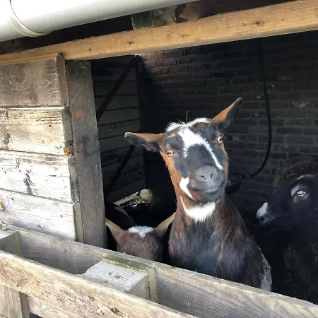 Hoeve De Binnenplaets *