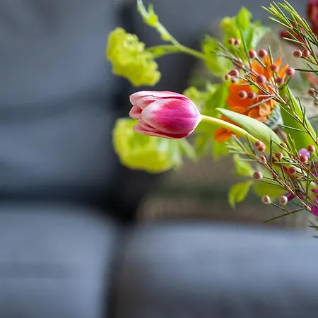 营地 霍芙德贝内普雷斯酒店 Schimmert