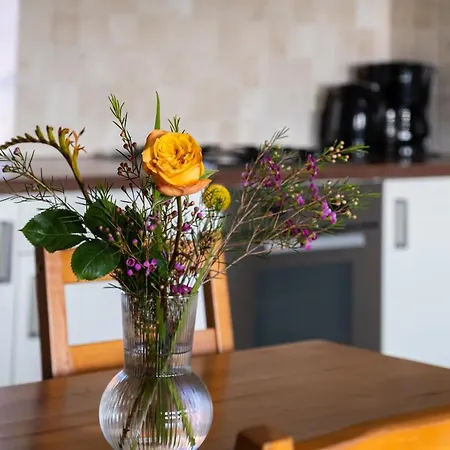 Hoeve De Binnenplaets - Appartementen - Glamping - Familieverblijf Schimmert