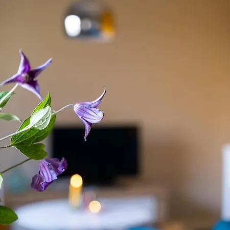 Apartament Hoeve De Binnenplaets Schimmert