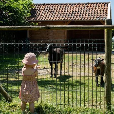 Hoeve De Binnenplaets דירה Schimmert