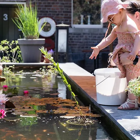 Hoeve De Binnenplaets Schimmert