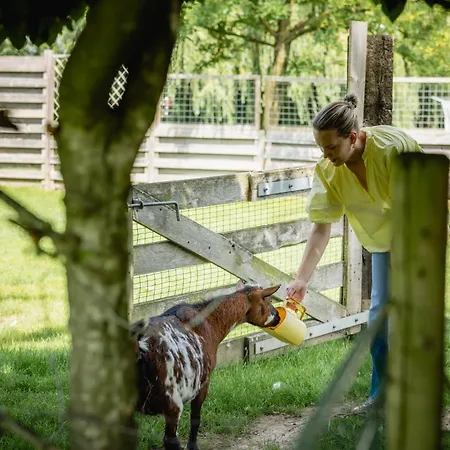 キャンプ場 Hoeve De Binnenplaets - - Glamping - Familieverblijf Schimmert