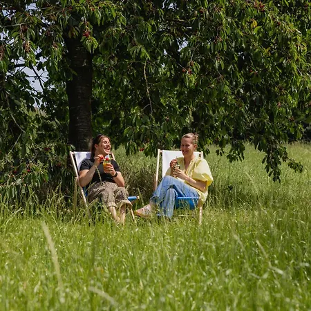 Hoeve De Binnenplaets - Appartementen - Glamping - Familieverblijf Schimmert