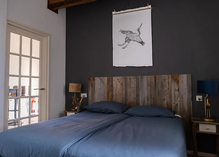 Campsite Hoeve De Binnenplaets - Appartementen - Glamping - Familieverblijf