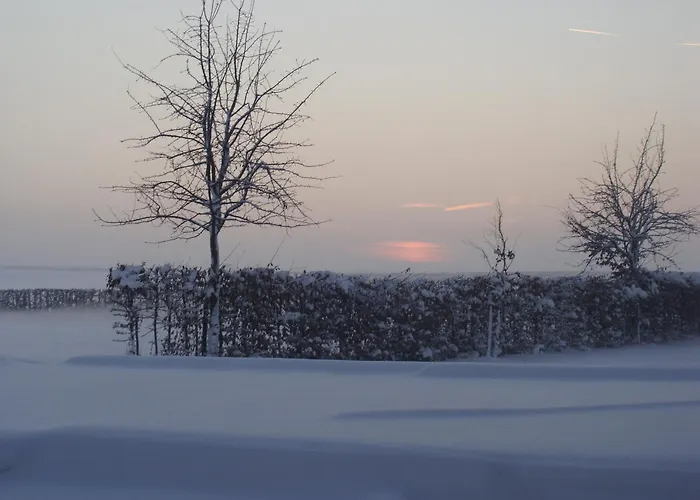 Hoeve de Binnenplaets Schimmert Camping *