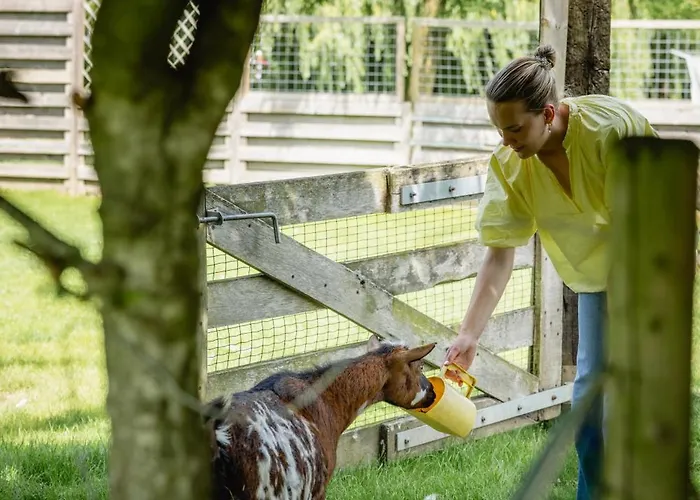 Campsite Hoeve De Binnenplaets - Appartementen - Glamping - Familieverblijf Schimmert