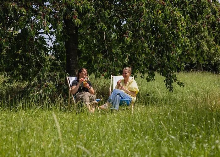 Hoeve De Binnenplaets - Appartementen - Glamping - Familieverblijf Schimmert